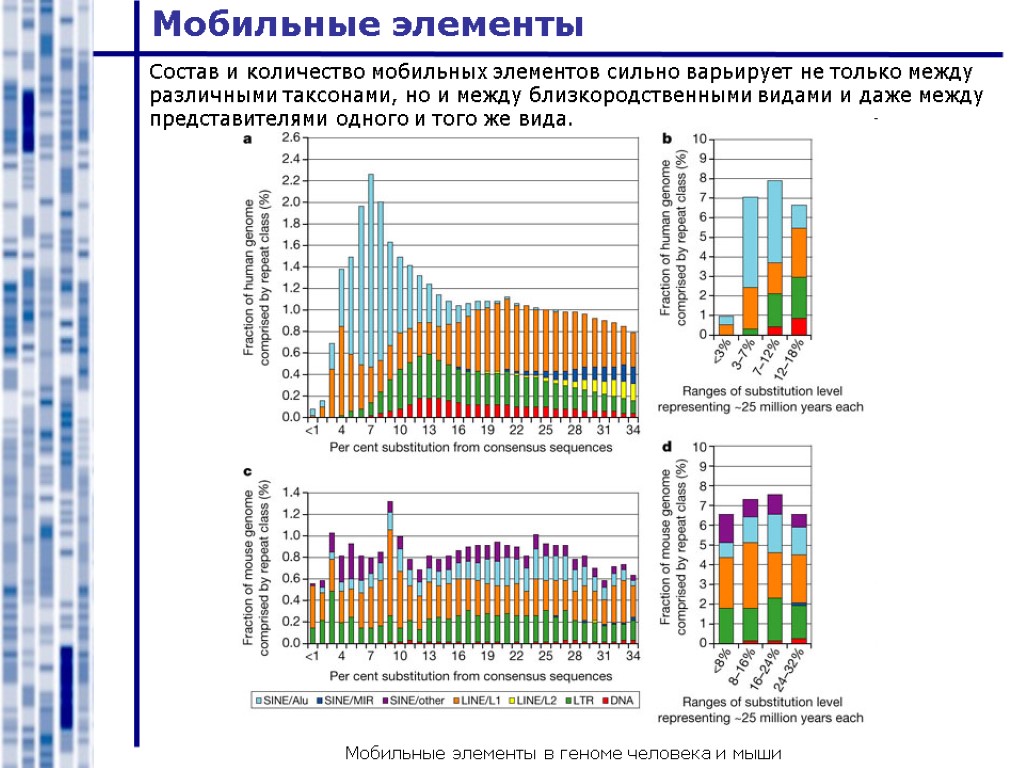 Мобильные элементы Мобильные элементы в геноме человека и мыши Состав и количество мобильных элементов